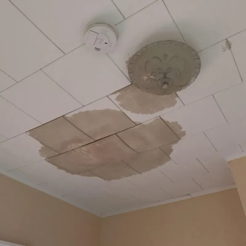 Ceiling Water Damage Repair in Douglas, IL