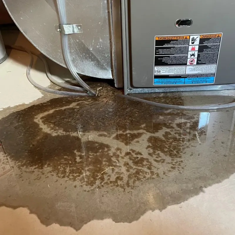 Pipe Burst and Leak Restoration in Douglas, IL
