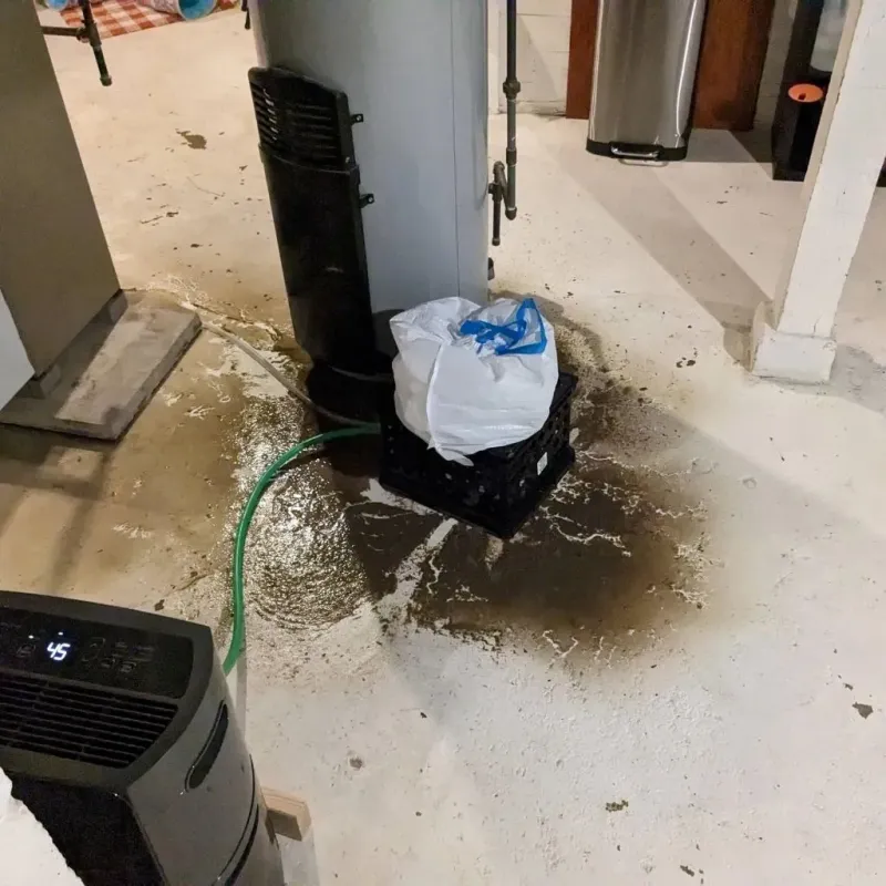 Sewage Backup Cleanup Service in Douglas, IL